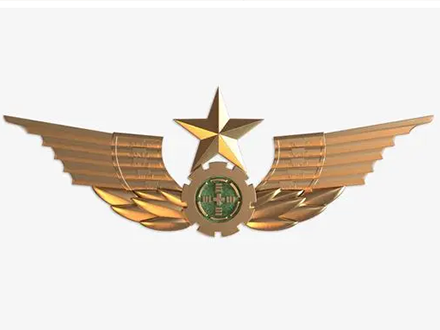 1741069274128673.jpg 陆军徽定制.jpg